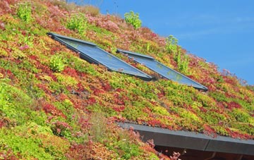 South Pool living roof systems